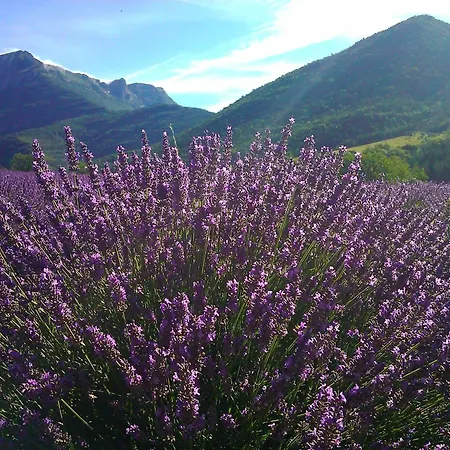 Au Moulin D'antan- Dans La Drome * Beaumont-en-Diois