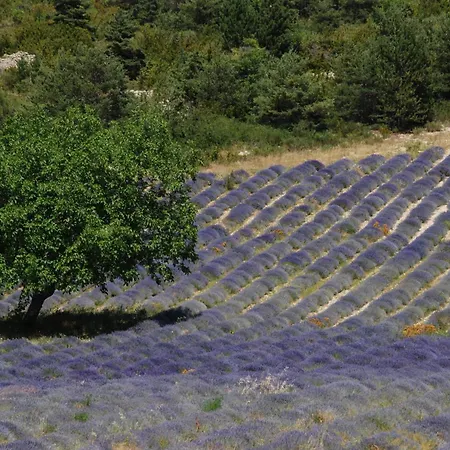 Au Moulin D'antan- Dans La Drome
